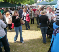 HANDS May Fair, Twickenham Green, 2011